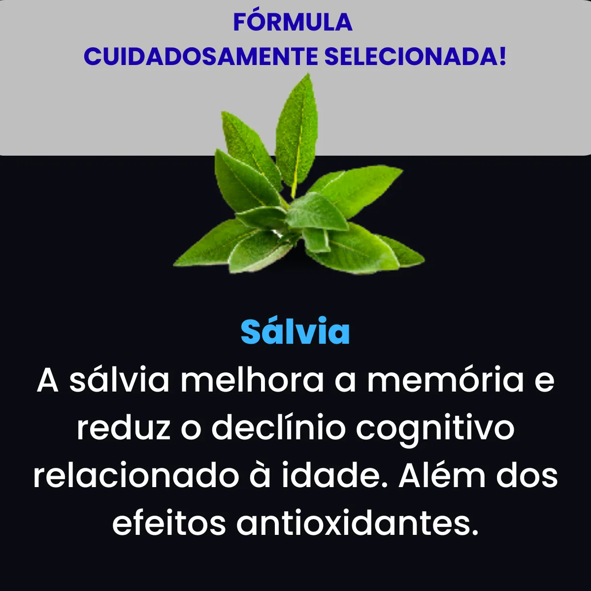 Colágeno Tipo 2 Pró