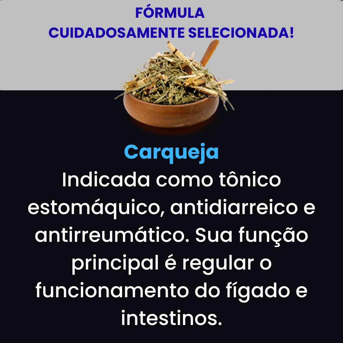 Colágeno Tipo 2 Pró