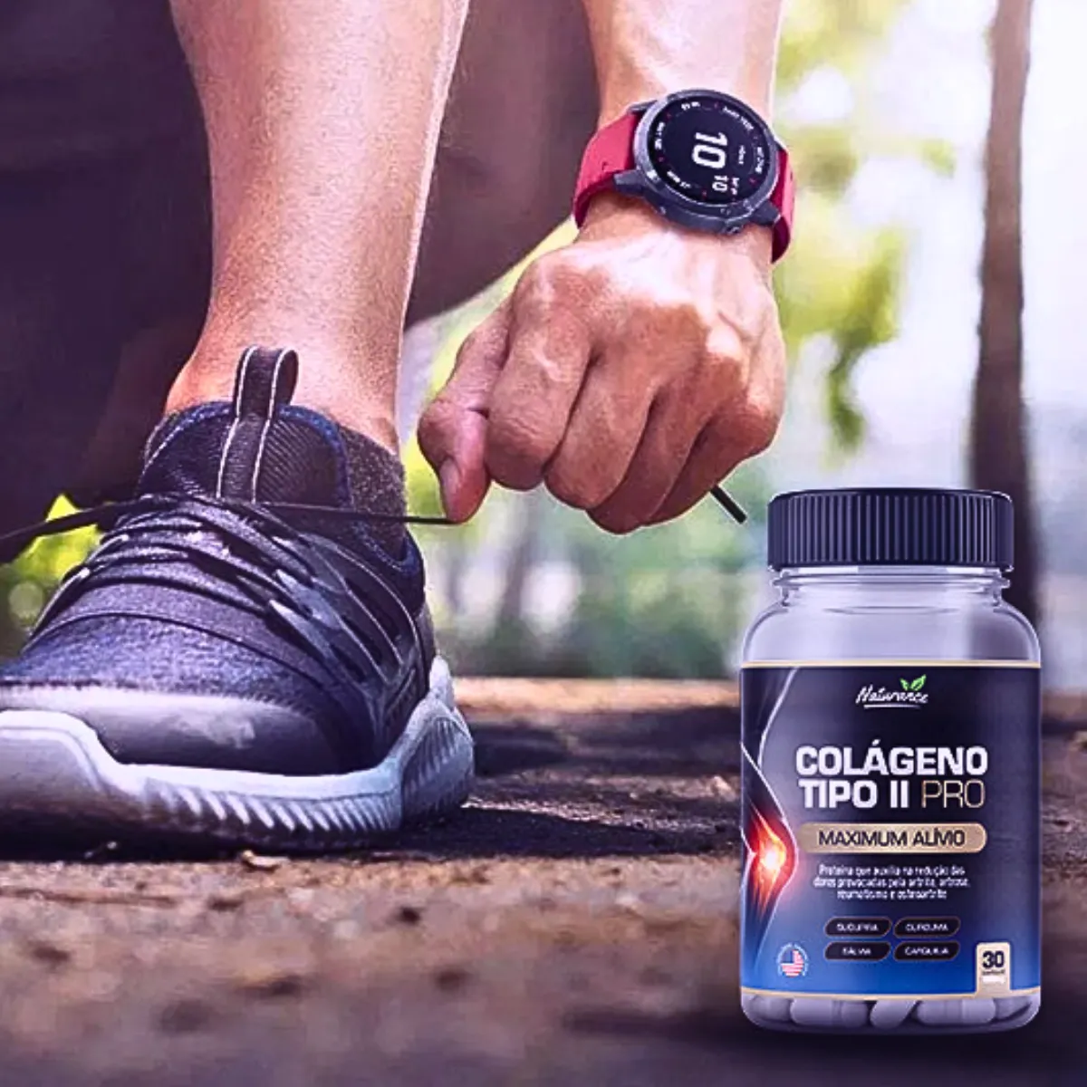 Colágeno Tipo 2 Pró