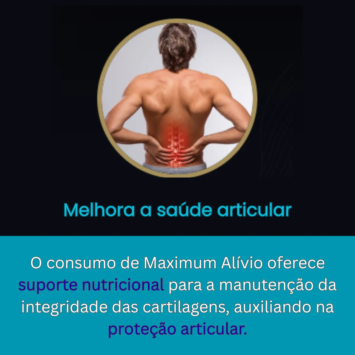 Colágeno Tipo 2 Pró