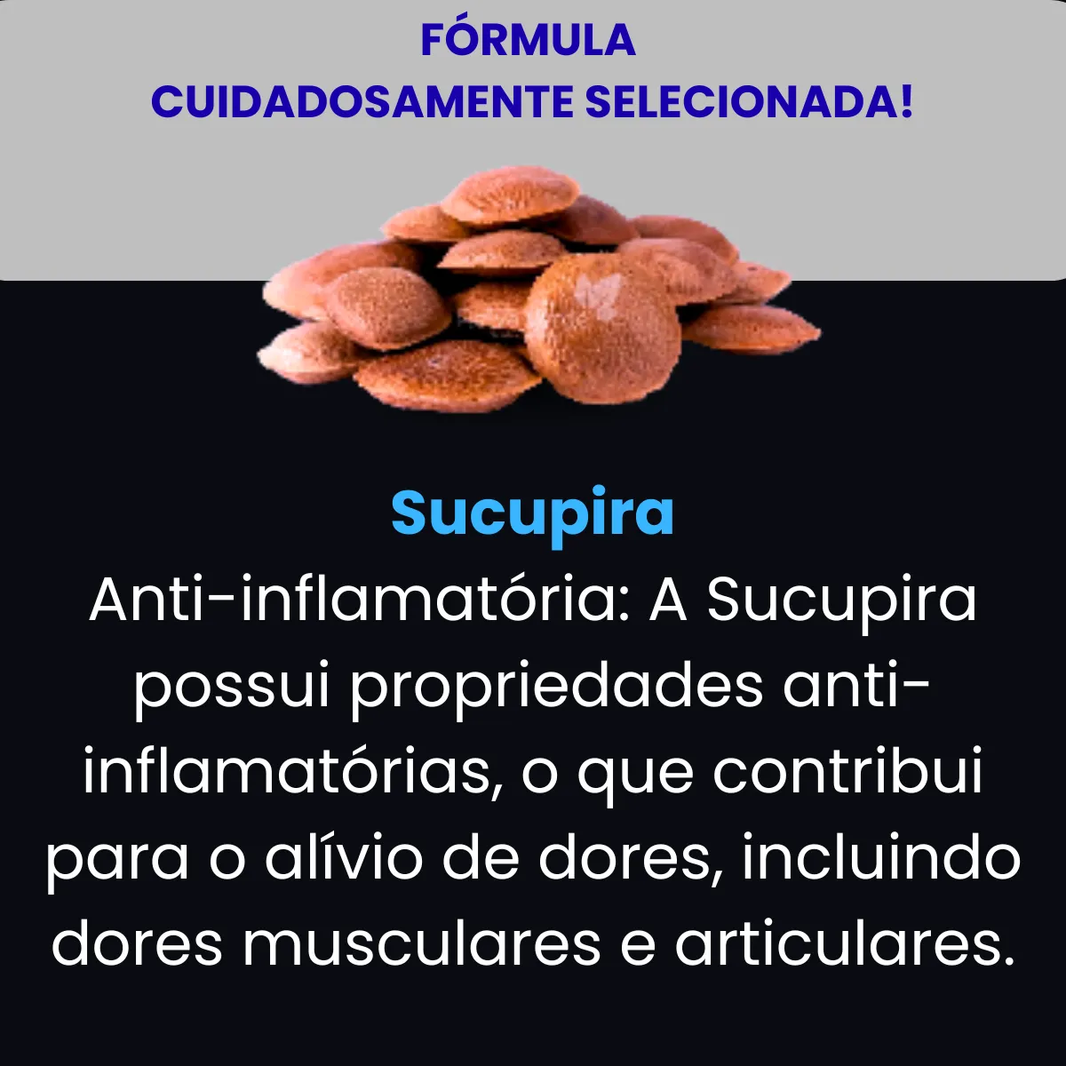 Colágeno Tipo 2 Pró